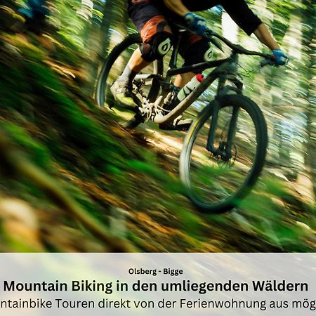 Ferienwohnungen Sauerland Und Ольсберґ Екстер'єр фото