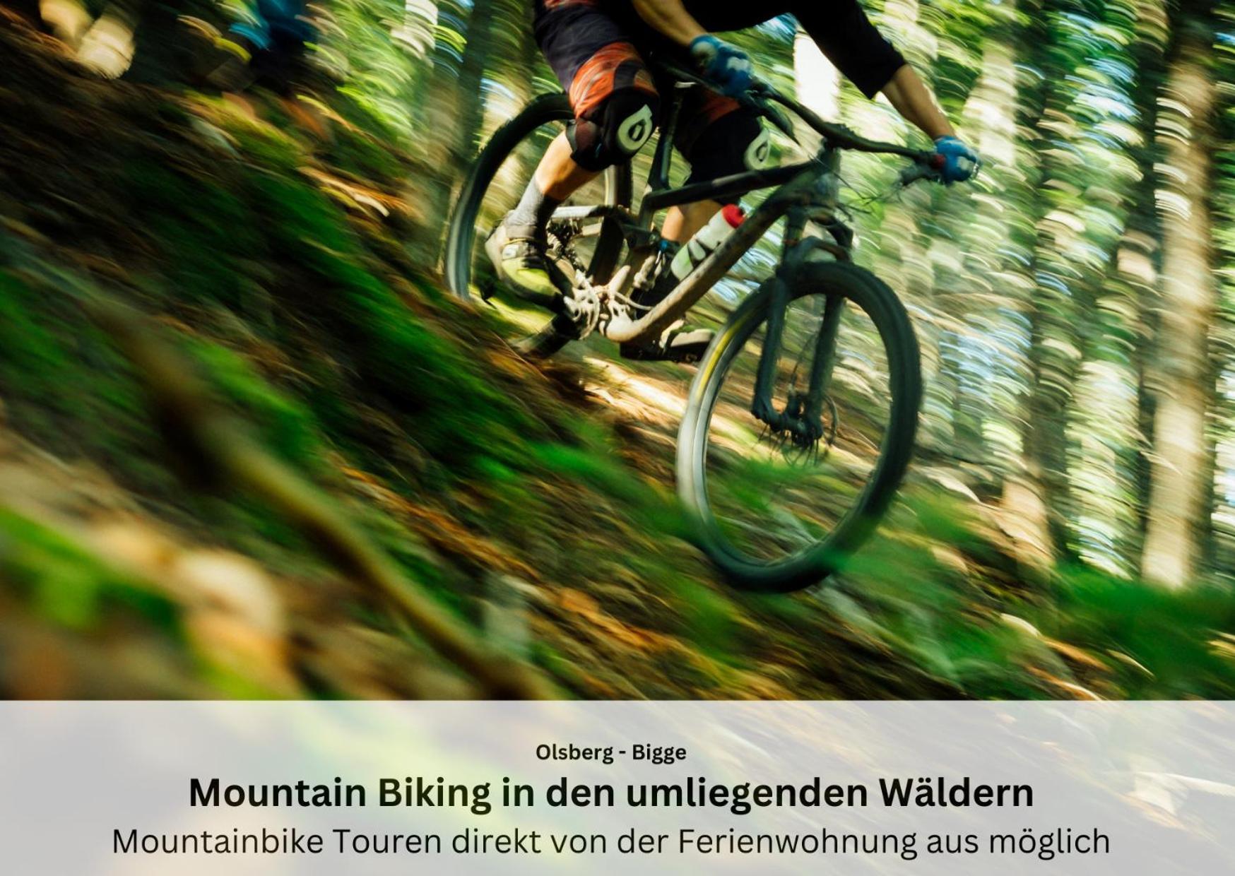 Ferienwohnungen Sauerland Und Ольсберґ Екстер'єр фото