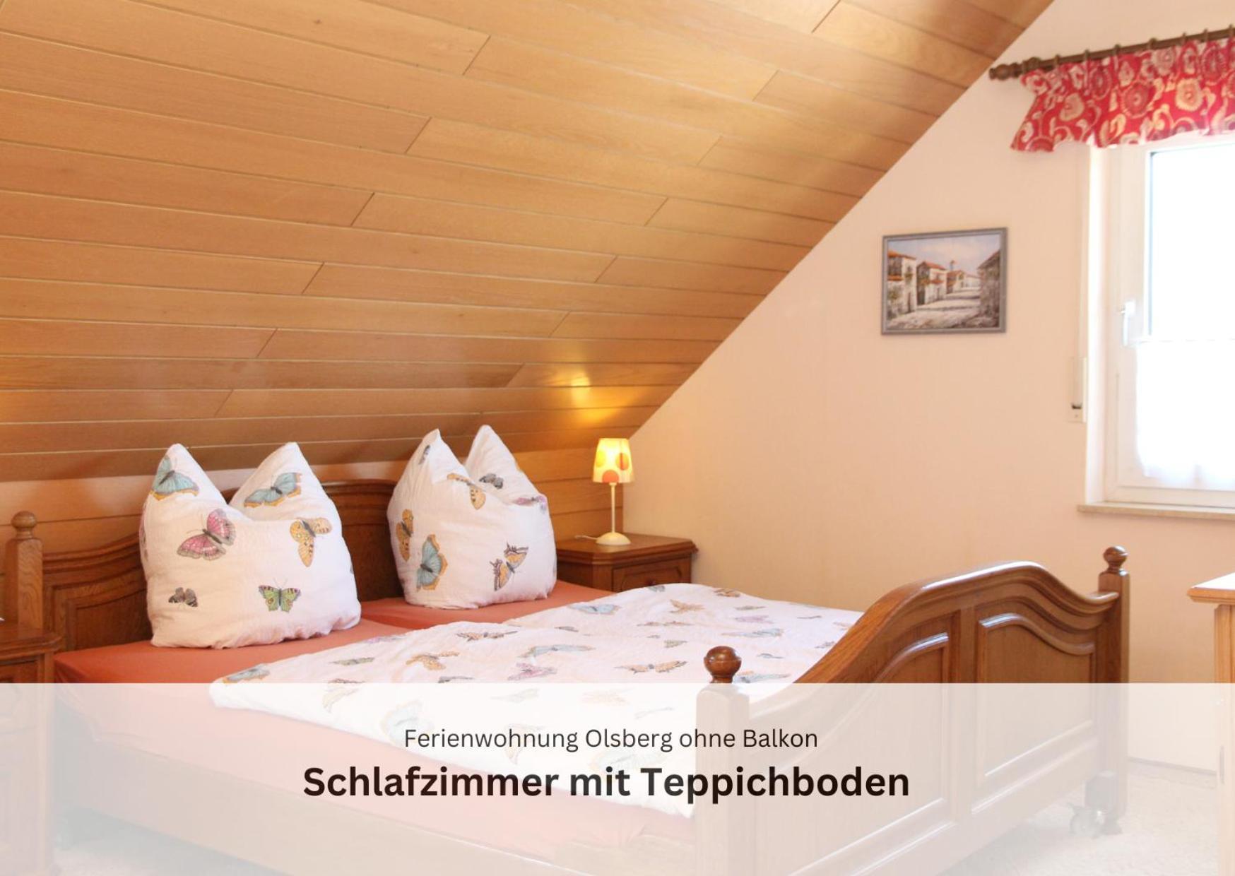 Ferienwohnungen Sauerland Und Ольсберґ Екстер'єр фото
