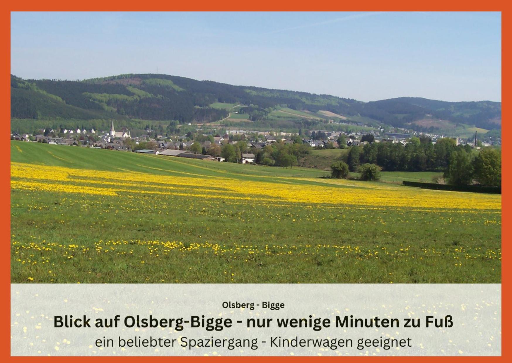 Ferienwohnungen Sauerland Und Ольсберґ Екстер'єр фото