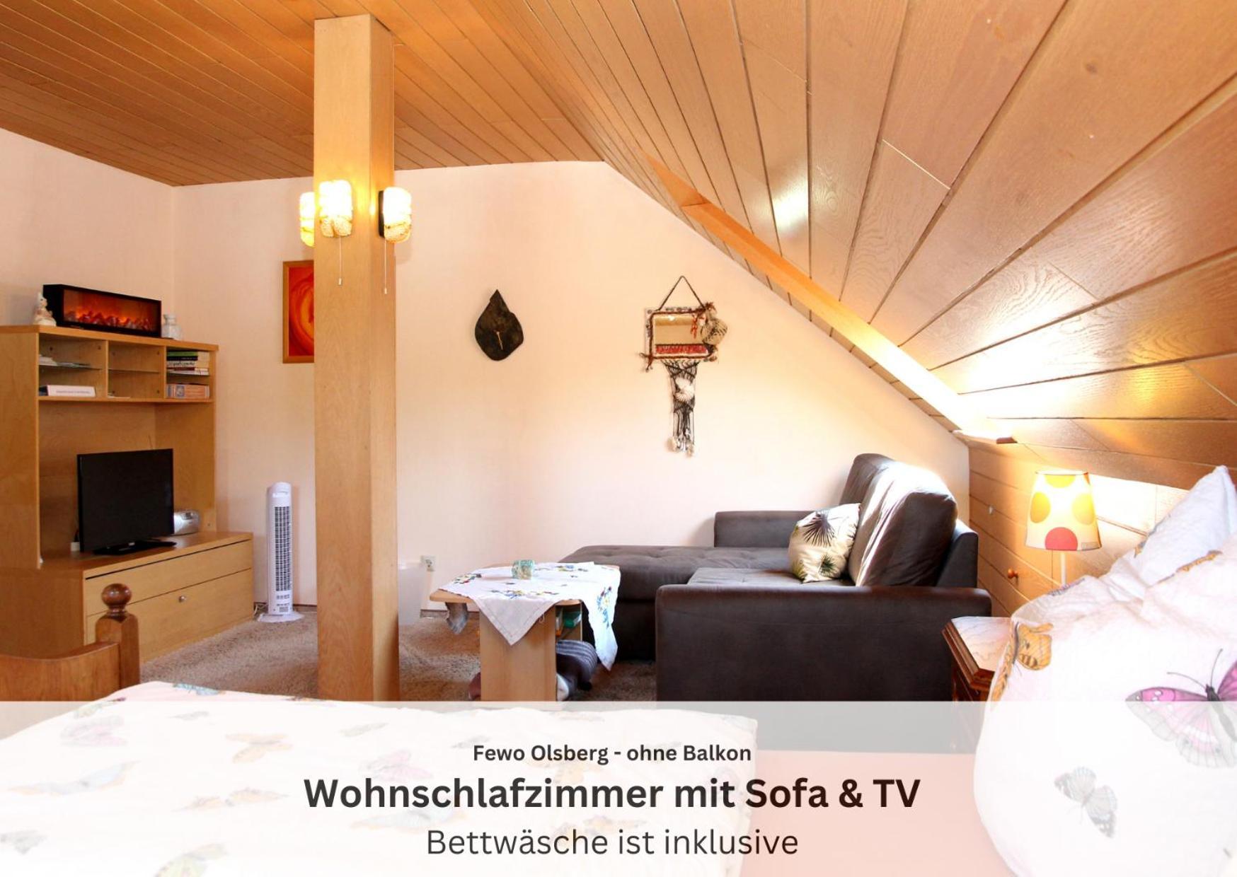 Ferienwohnungen Sauerland Und Ольсберґ Екстер'єр фото
