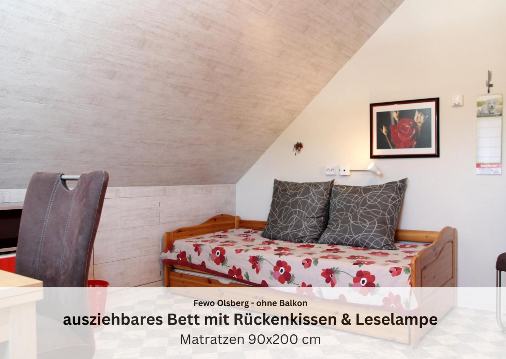 Ferienwohnungen Sauerland Und Ольсберґ Екстер'єр фото
