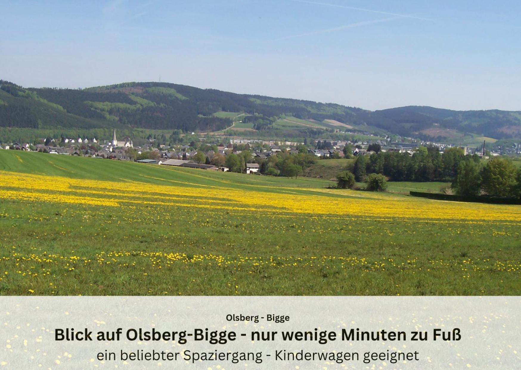 Ferienwohnungen Sauerland Und Ольсберґ Екстер'єр фото