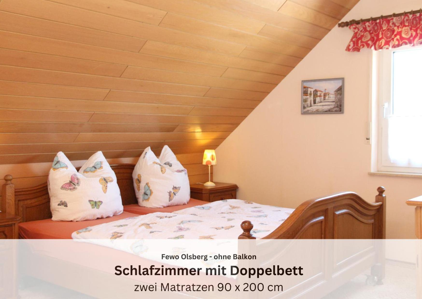 Ferienwohnungen Sauerland Und Ольсберґ Екстер'єр фото
