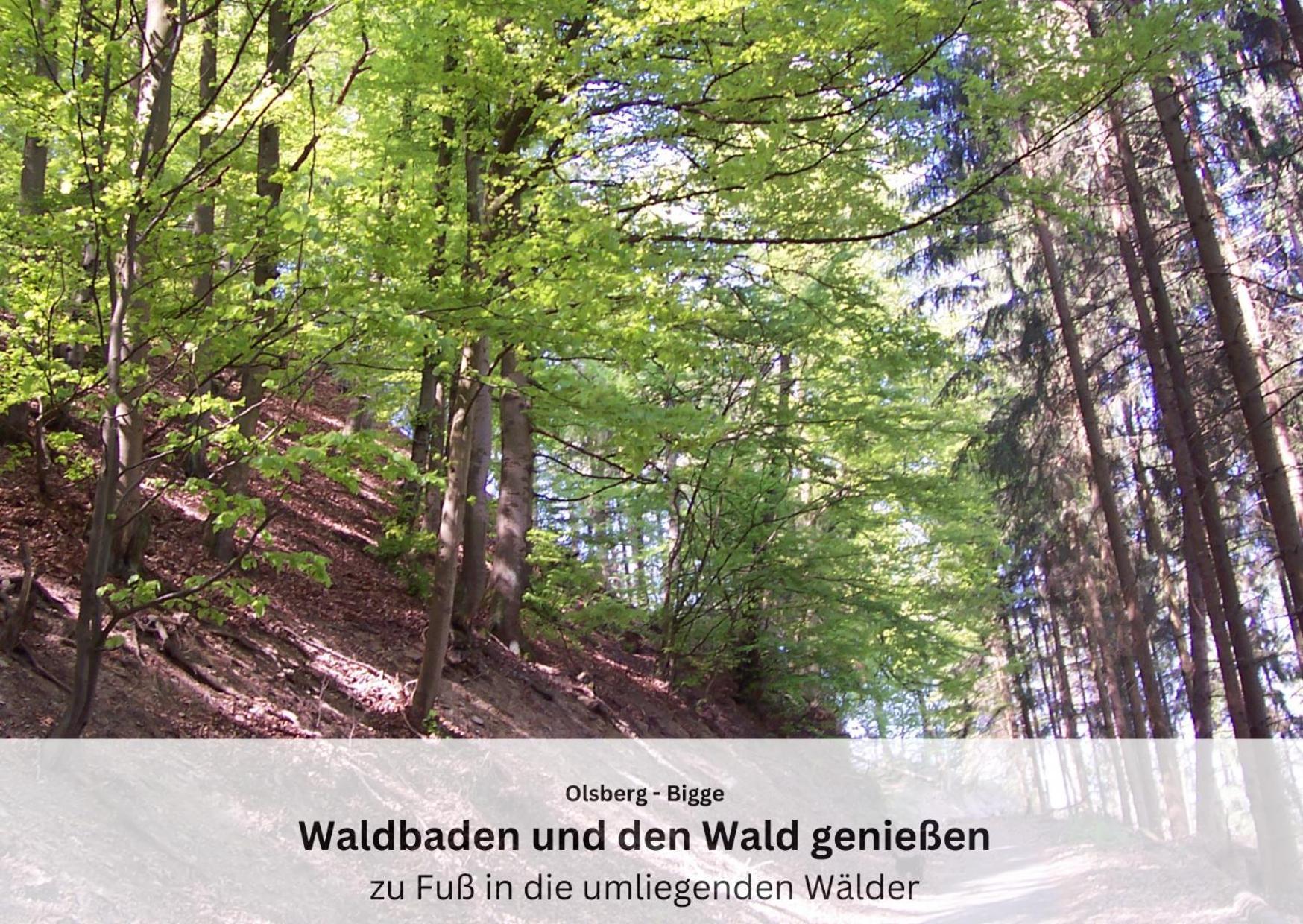 Ferienwohnungen Sauerland Und Ольсберґ Екстер'єр фото